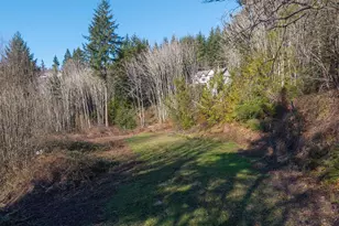 335 Hillsdale Dr, Woodland, WA 98674 - Photo 1