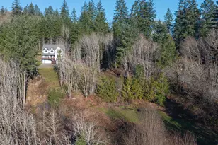 335 Hillsdale Dr, Woodland, WA 98674 - Photo 44