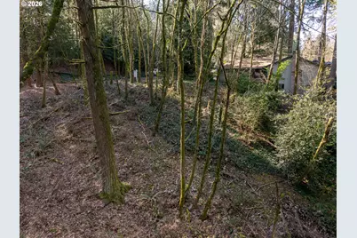 1115 Larch St, Lake Oswego, OR 97034 - Photo 6