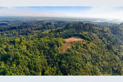 Nw 389th St, Woodland, WA 98674 - Photo 8