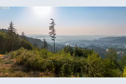 Nw 389th St, Woodland, WA 98674 - Photo 6