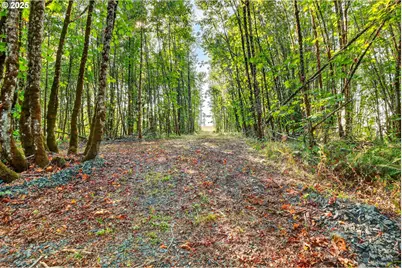 Nw 389th St, Woodland, WA 98674 - Photo 26