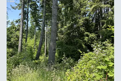 1 W Walberg Rd, Chinook, WA 98614 - Photo 14
