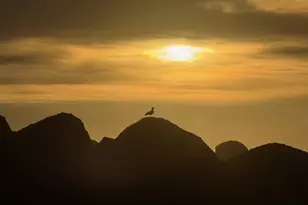 6185 Columbia St, Arch Cape, OR 97102 - Photo 40