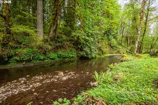 1975 Coal Creek Rd, Longview, WA 98632 - Photo 4