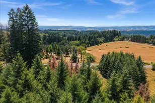 20802 NW Pumpkin Ridge Rd, North Plains, OR 97133 - Photo 16