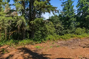 20802 NW Pumpkin Ridge Rd, North Plains, OR 97133 - Photo 12