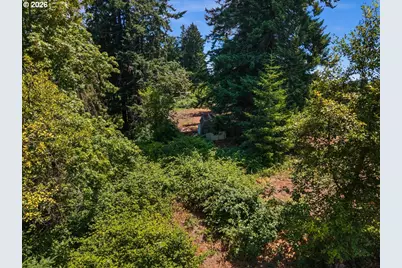 20802 NW Pumpkin Ridge Rd, North Plains, OR 97133 - Photo 10