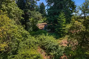 20802 NW Pumpkin Ridge Rd, North Plains, OR 97133 - Photo 10