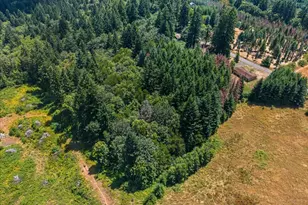 20802 NW Pumpkin Ridge Rd, North Plains, OR 97133 - Photo 4