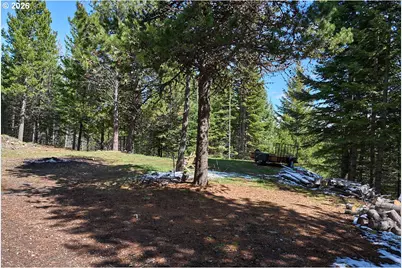 61718 Chief Joseph Loop Rd, Joseph, OR 97846 - Photo 36