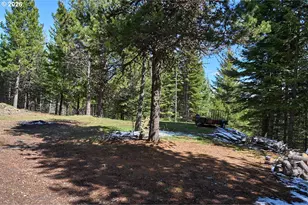 61718 Chief Joseph Loop Rd, Joseph, OR 97846 - Photo 36