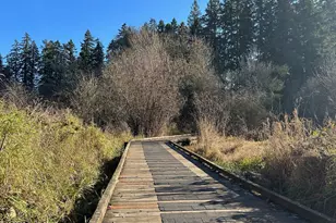 2004 NE Cadbury Ave, Hillsboro, OR 97006 - Photo 44