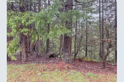 225 Doraleen Ln, Glide, OR 97443 - Photo 6