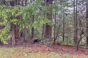 225 Doraleen Ln, Glide, OR 97443 - Photo 6