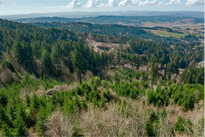 35963 SW Bald Peak Rd, Hillsboro, OR 97123 - Photo 26
