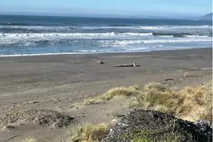 33382 Cedar Valley Rd, Gold Beach, OR 97444 - Photo 10