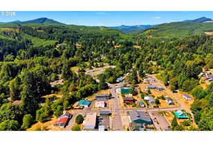 299 Mill St, Falls City, OR 97344 - Photo 30