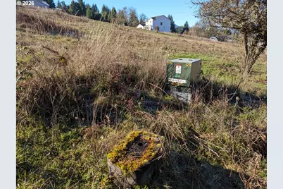 Spike Dr #39, Oakridge, OR 97463 - Photo 10