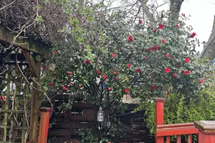 8054 SE Reedway St, Portland, OR 97206 - Photo 14