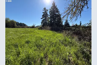 40144 Big Fall Creek Rd, Fall Creek, OR 97438 - Photo 8