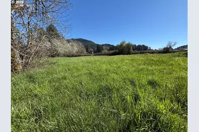 40144 Big Fall Creek Rd, Fall Creek, OR 97438 - Photo 6