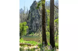 49348 McKenzie Hwy, Vida, OR 97488 - Photo 28