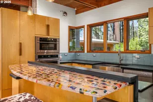 49348 McKenzie Hwy, Vida, OR 97488 - Photo 6