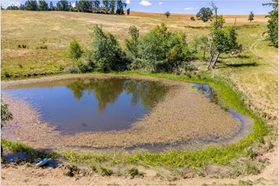 27085 Greenville Rd, Sweet Home, OR 97386 - Photo 36