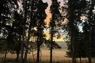 6020 Valley View Rd NE, Silverton, OR 97381 - Photo 42