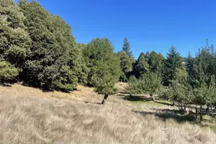 46255 Hwy 242, Myrtle Point, OR 97458 - Photo 4