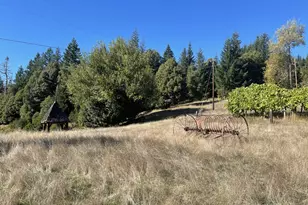 46255 Hwy 242, Myrtle Point, OR 97458 - Photo 16