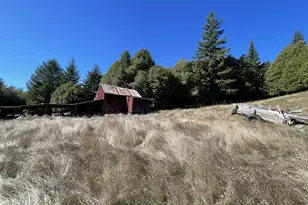 46255 Hwy 242, Myrtle Point, OR 97458 - Photo 10