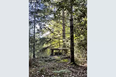 46255 Highway 242, Myrtle Point, OR 97458 - Photo 12