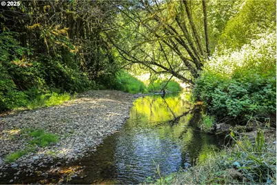 53856 Big Creek Rd, Myrtle Point, OR 97458 - Photo 4