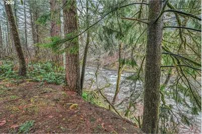 15202 Washougal River Rd, Washougal, WA 98671 - Photo 4