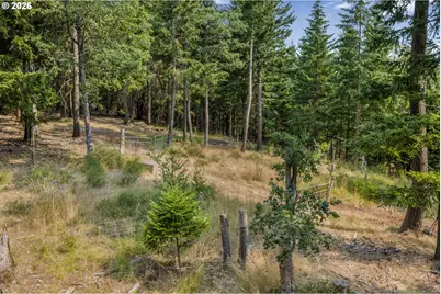 Lyle Snowden Rd, Lyle, WA 98635 - Photo 6