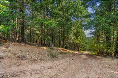 Lyle Snowden Rd, Lyle, WA 98635 - Photo 20