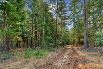 Lyle Snowden Rd, Lyle, WA 98635 - Photo 16