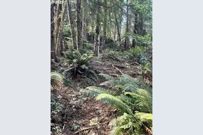 20th Ln, Coos Bay, OR 97420 - Photo 10