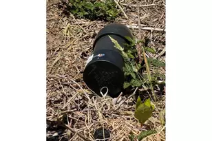 69729 Stage Rd, North Bend, OR 97459 - Photo 18