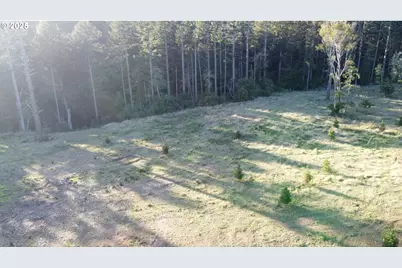 Hubbard Ln, Port Orford, OR 97465 - Photo 10