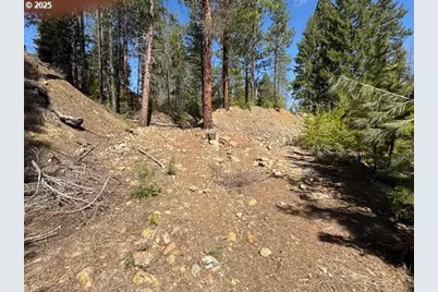 605 Sumpter Valley Hwy, Sumpter, OR 97877 - Photo 16