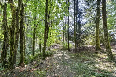 168 Upland Dr, Woodland, WA 98674 - Photo 22