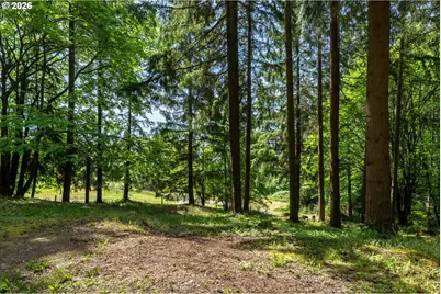 120 Solo Meadows Ln, Longview, WA 98632 - Photo 10