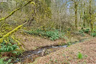 7015 NE Ferris Rd, La Center, WA 98629 - Photo 38