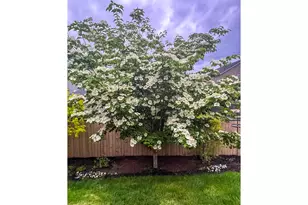 10102 NE 139th Ave, Vancouver, WA 98682 - Photo 40