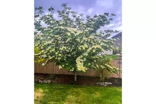 10102 NE 139th Ave, Vancouver, WA 98682 - Photo 38