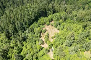 40149 SE Kitzmiller Rd, Eagle Creek, OR 97022 - Photo 1