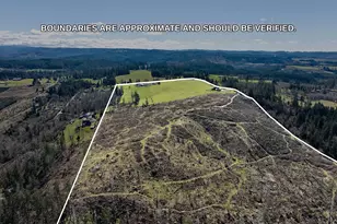 38252 S Blair Rd, Molalla, OR 97038 - Photo 46